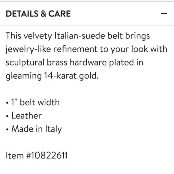 KHAITE Dark Brown Suede Belt with Gold Buckle. # K2 main image 6